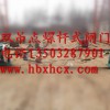 雙吊點螺桿式啟閉機
