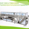 【鳳翔】DUP-5000 上下噴淋式清洗機果蔬清洗機