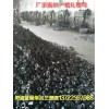 精軋螺紋鋼 錨具，螺母 墊板 螺旋筋 連接器