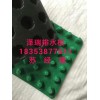 南京2公分排水板專用于（車庫頂板）全國發貨