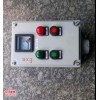 BZC51-A2B1D2G電機啟停防爆操作柱