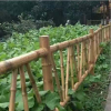 新農(nóng)村建設用不銹鋼竹籬笆景觀園藝護欄庭院圍欄柵欄竹節(jié)護欄