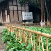 弘更不銹鋼竹節(jié)管 新農(nóng)村 公園 街道草坪仿竹護(hù)欄 籬笆 圍欄 柵欄