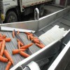 廠家直銷大型豆芽氣泡清洗機 全自動多功能果蔬清洗機械設(shè)備