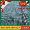 三維護(hù)坡植被網(wǎng)墊 護(hù)坡新品