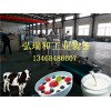 中小型酸奶設(shè)備多少錢_小型酸奶生產(chǎn)設(shè)備_酸奶生產(chǎn)設(shè)備價(jià)格