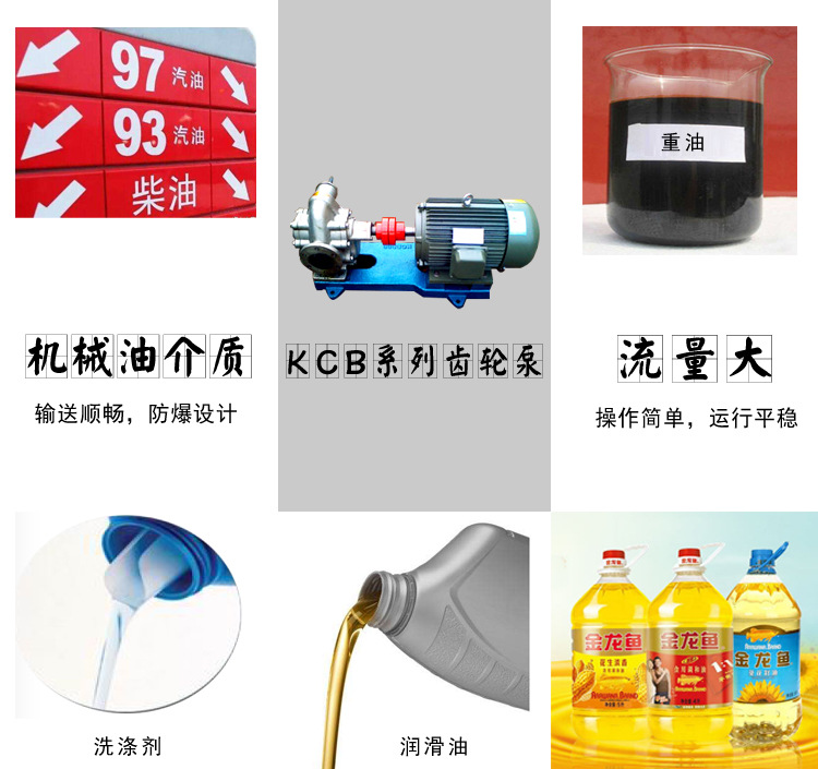 不銹鋼齒輪泵 巨興 耐腐蝕 食品級 齒輪輸送泵示例圖12