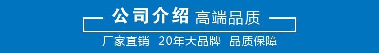 導熱油泵 批發 導熱油循環泵 廠家直銷 高溫離心泵示例圖19