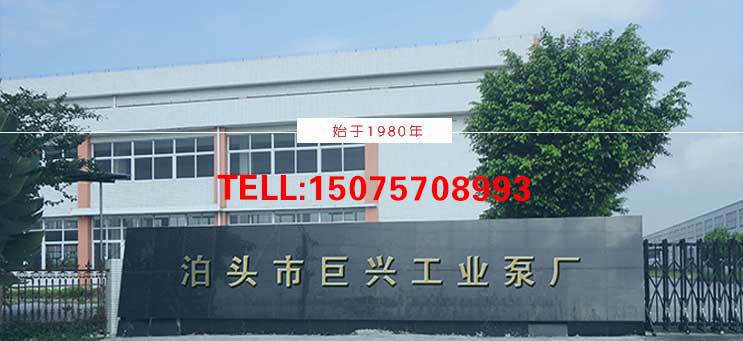 導熱油泵 批發 導熱油循環泵 廠家直銷 高溫離心泵示例圖28