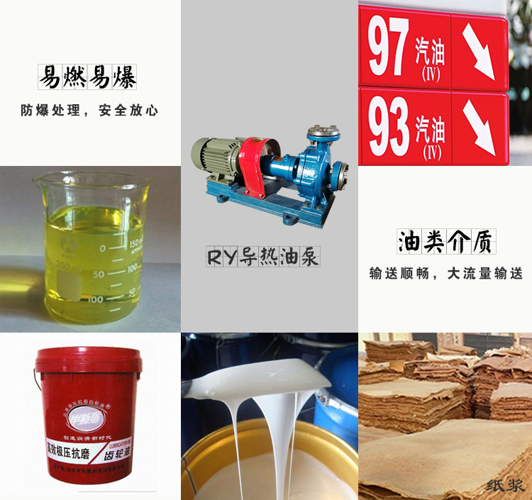 RY導熱油泵 廠家直銷 導熱油爐循環泵 批發風冷式高溫離心油泵示例圖14