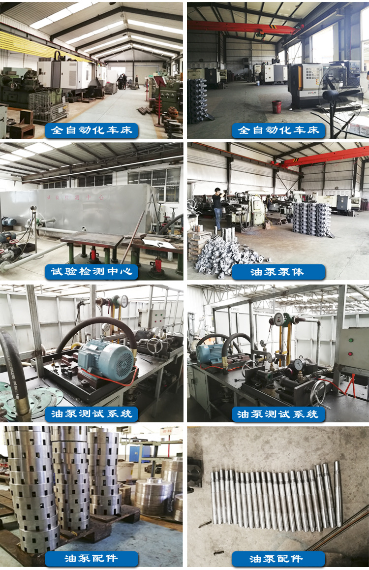 ry導(dǎo)熱油泵 導(dǎo)熱油泵廠家 批發(fā)導(dǎo)熱油循環(huán)泵示例圖3