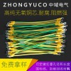 太陽能光伏黃綠接地線 定做任意孔徑和長度 國標純銅自帶端子
