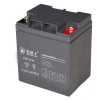 金武士PV24-12-YA 金武士蓄電池 12V24AH 免維護(hù)鉛酸蓄電池