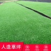 學(xué)校操場(chǎng)跑道草坪 塑料材質(zhì)綠色地毯人造草坪仿真綠植物墻室內(nèi) 草坪網(wǎng)圍擋