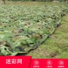 迷彩網(wǎng) 防航拍山體廠房違章建筑迷彩網(wǎng) 叢林偽裝網(wǎng)廠家直銷