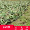 防航拍偽裝網(wǎng)迷彩網(wǎng)遮光網(wǎng)戶外叢林迷彩遮陽網(wǎng)布綠化防偽網(wǎng)軍綠色