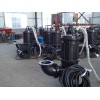 熱電廠污水處理廠大顆粒泥沙泵，砂石泵，渣漿泵