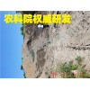 返利30寧波綠寶廠家生產渣土回填、臺州黃土再生二次 紹興固化黃土、寧波路液技術、舟山路液代替砂石