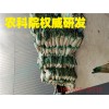 寧波黃土廠家道路水穩層、鄞州底基層、鎮海生土再生、海曙熟土再生、北侖回填土、杭州灣基坑