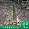 竹片（規(guī)格可定制）