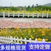 清遠(yuǎn)連州菜園護(hù)欄閘北竹籬笆哪家好