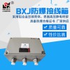 BJX防爆接線箱 防爆端子箱 防爆電箱 上海新黎明國標(biāo)廠家定做尺寸