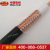泄漏電纜生產(chǎn)廠家