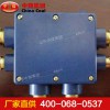 JHH型礦用本安電路用接線盒生產廠家