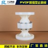 PVDF加強(qiáng)型止回閥  廠家直銷