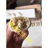 江蘇南京餃子機 手工餃子機 東北大克數(shù)水餃包制設(shè)備 廚房面食設(shè)備
