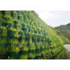 蜂巢格室-生態(tài)模塊-土石籠袋-生態(tài)袋-生態(tài)棒-水土保護(hù)毯-防水毯