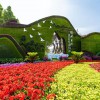 綠雕價(jià)格 廣場(chǎng)綠雕 玉林綠雕供應(yīng)商-廠家直銷