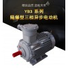 YB3 系列隔爆型三相異步電動機(jī)  理想的動力設(shè)備