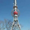 濕地觀測(cè)塔 森林監(jiān)控鐵塔 山頂瞭望塔鋼結(jié)構(gòu)便利安裝