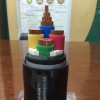 輻照交聯(lián)聚乙烯絕緣電力電纜FYJV、FYJV22