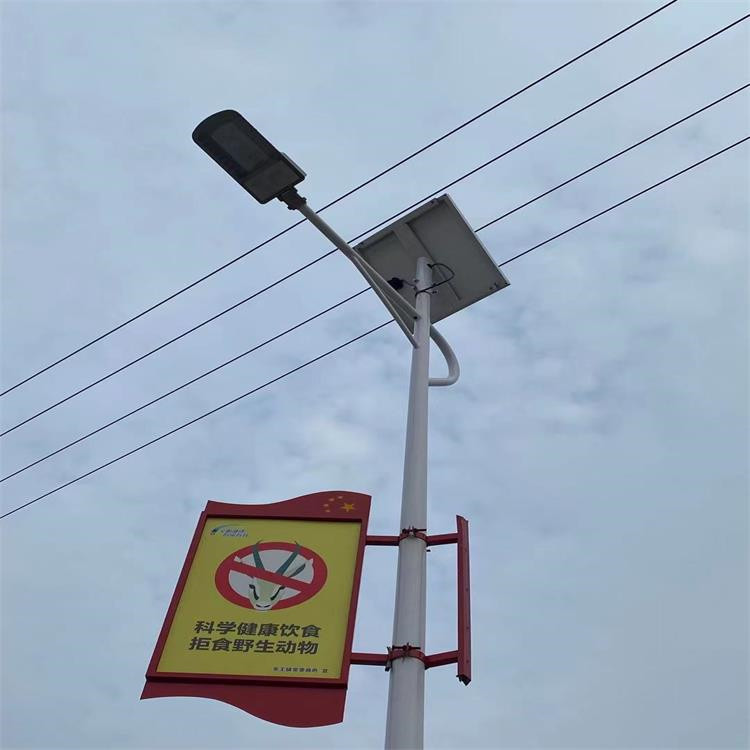 實拍圖家 (6)