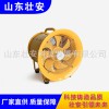 壯安森林消防ATPF型防爆正負(fù)壓排煙機(jī)
